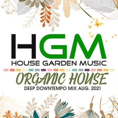 Va-Artists - HGM: Organic House Deep Downtempo Mix (2021) MP3