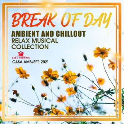 Va-Artists - Break Of Day: Ambient & Chillout Mix (2021) MP3