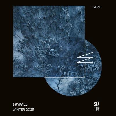 Va-Artists - SkyFall Winter 2023 (2023) MP3