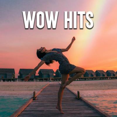 Va-Artists - Wow Hits (2023) MP3