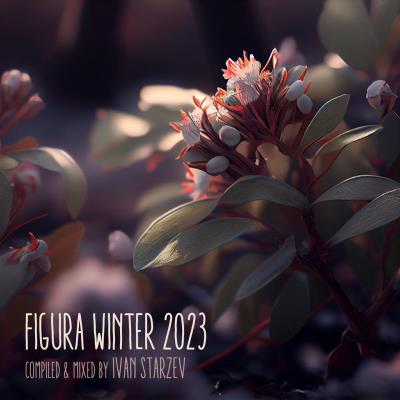 Va-Artists - Figura Winter Figura Music (2023) MP3