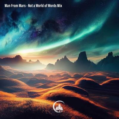 Va-Artists - Not a World of Words (2023) MP3