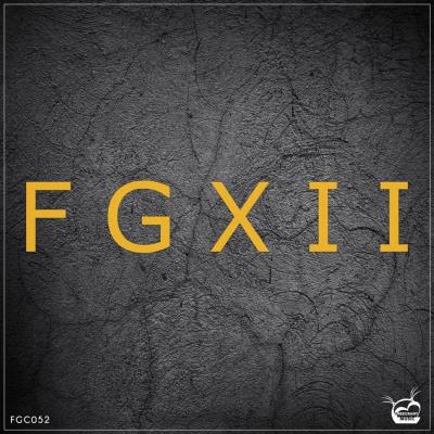 Va-Artists - FGXII (12th Years Anniversary) (2023) MP3