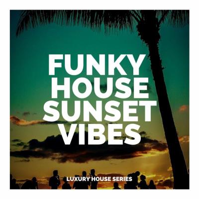 Va-Artists - Funky House Sunset Vibes (2023) MP3