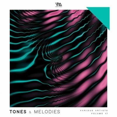 Va-Artists - Tones & Melodies Vol 17 (2023) MP3