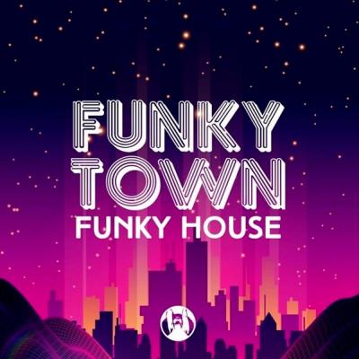 Va-Artists - Funky Town Funky House (2023) MP3