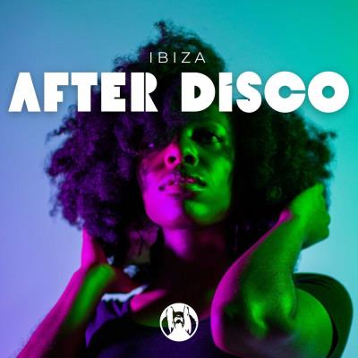 Va-Artists - Ibiza After Disco (2023) MP3