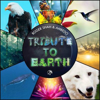 Va-Artists - Roger Shah & Ambedo - Tribute To Earth (2023) MP3