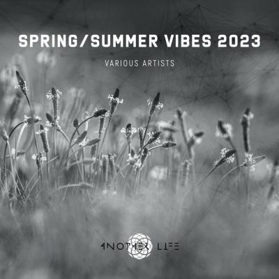 Va-Artists - Spring/Summer Vibes 2023 (2023) MP3