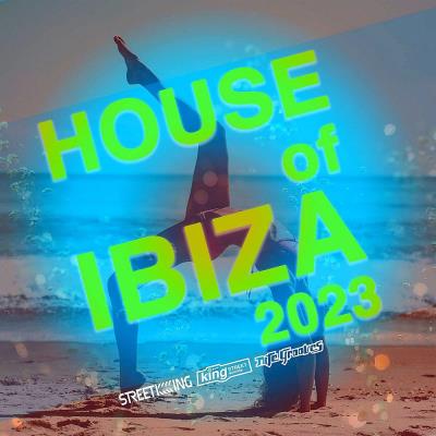 Va-Artists - House Of Ibiza 2023 (2023) MP3