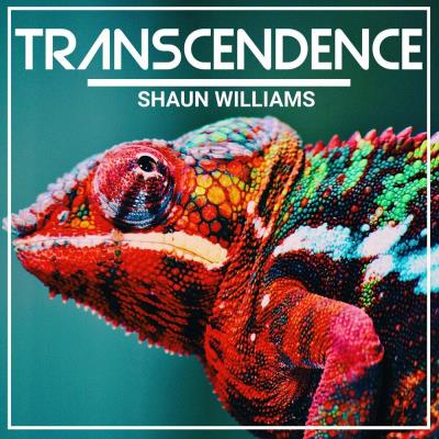 Va-Artists - Shaun Williams - Transcendence (2023) MP3