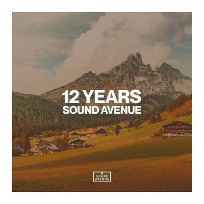Va-Artists - 12 Years Sound Avenue (2023) MP3