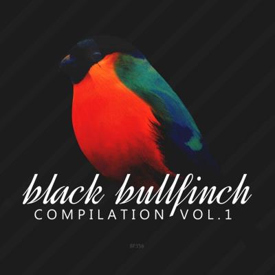 Va-Artists - Black Bullfinch Compilation Vol 1 (2023) MP3