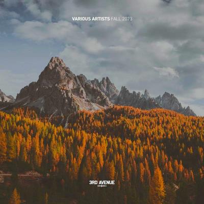 Va-Artists - Best Of 3rd Avenue | Fall 2023 (2023) MP3