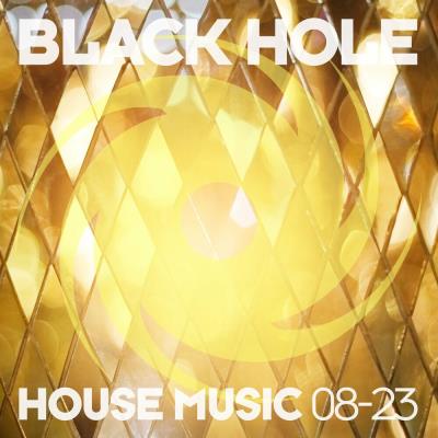 Va-Artists - Black Hole House Music 08-23 (2023) MP3
