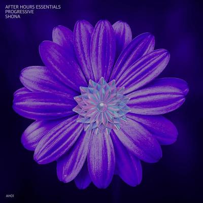 Va-Artists - After Hours Essentials Progressive SHONA (2023) MP3