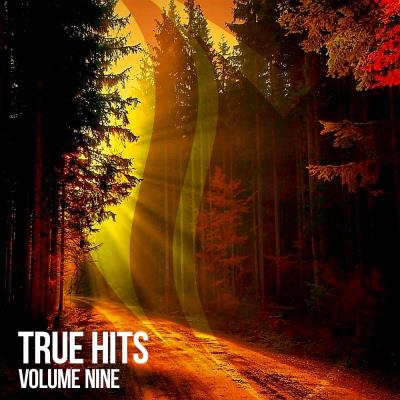 Va-Artists - True Hits, Vol 9 (2023) MP3