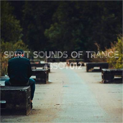 Va-Artists - Spirit Sounds Of Trance #012 (Mixed by SounEmot) (2023) M