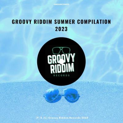 Va-Artists - Groovy Riddim Summer Compilaton 2023 (2023) MP3