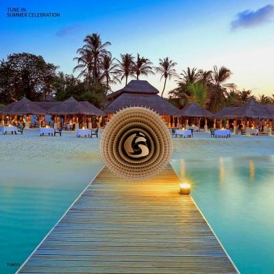 Va-Artists - Tune In. Summer Celebration (2023) MP3