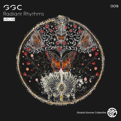 Va-Artists - Stan Kolev - Radiant Rhythms Vol 09 (2023) MP3