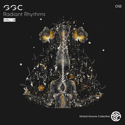 Va-Artists - Stan Kolev - Radiant Rhythms Vol 12 (2023) MP3