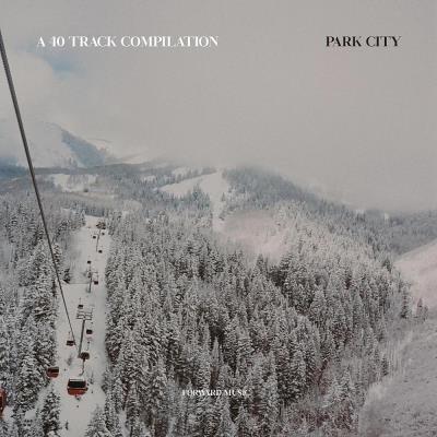 Va-Artists - A 40 Track Compilation: Park City (2023) MP3