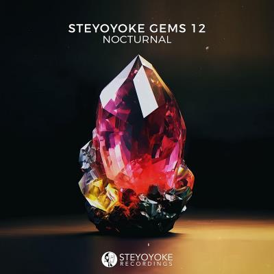 Va-Artists - Steyoyoke Gems Nocturnal 12 (2023) MP3