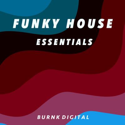 Va-Artists - Funky House Essentials 7 (2023) MP3