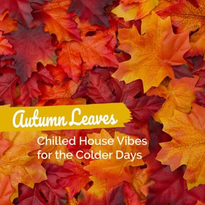 Va-Artists - Autumn Leaves: Chilled House Vibes for the Colder Days (2