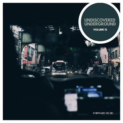 Va-Artists - Undiscovered Underground Vol 15 (2024) MP3