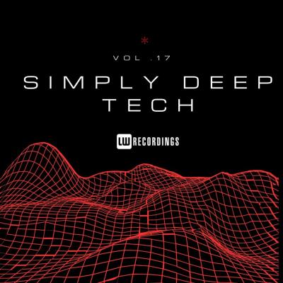 Va-Artists - Simply Deep Tech, Vol. 17 (2024) MP3