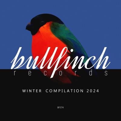 Va-Artists - Bullfinch Winter 2024 Compilation (2024) MP3