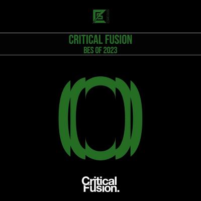 Va-Artists - Best Of Critical Fusion 2023 (2024) MP3