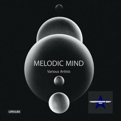 Va-Artists - Melodic Mind (2024) MP3