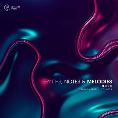 Va-Artists - Synths, Notes & Melodies Vol 4 (2024) MP3