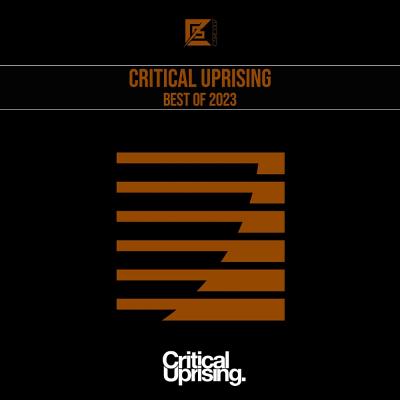 Va-Artists - Critical Uprising Best Of 2023 (2024) MP3