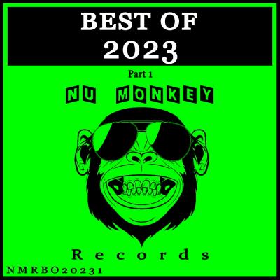 Va-Artists - Best Of Nu Monkey Records 2023 Pt 1 (2023) MP3