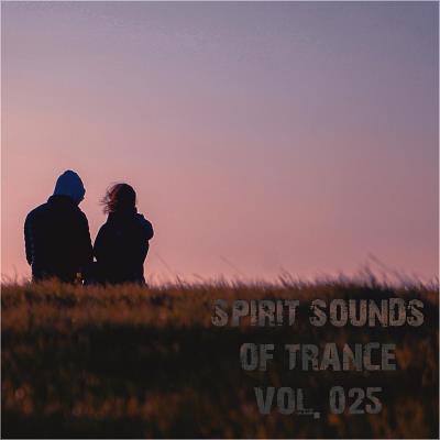 Va-Artists - Spirit Sounds Of Trance Vol 25 (Extended Mixes) (2023) MP