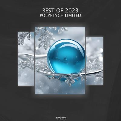 Va-Artists - Polyptych Limited - Best of 2023 (2024) MP3