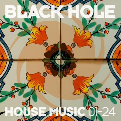 Va-Artists - Black Hole House Music 01-24 (2024) MP3