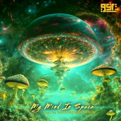 Va-Artists - My Mind In Space (Mixed by metempsychosis) (2024) MP3