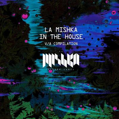 Va-Artists - La Mishka in the House (DJ Edition) (2024) MP3