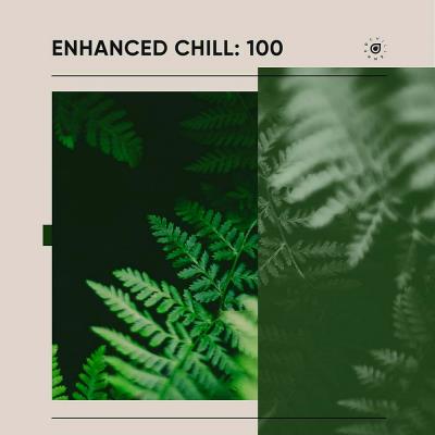 Va-Artists - Enhanced Chill 100 (2024) MP3