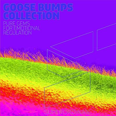 Va-Artists - Goose Bumps Collection Vol 11 (2024) MP3