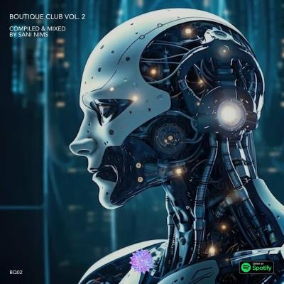 Va-Artists - Boutique Club Vol 2 (Compiled & Mixed by SANI NIMS) (2024