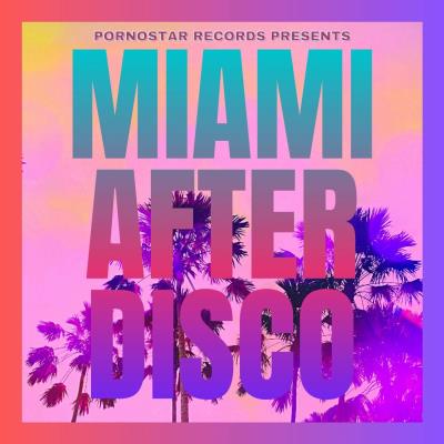 Va-Artists - Miami After Disco (2024) MP3