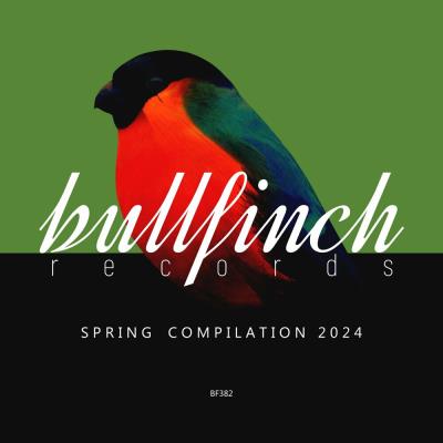 Va-Artists - Bullfinch Spring 2024 Compilation (2024) MP3