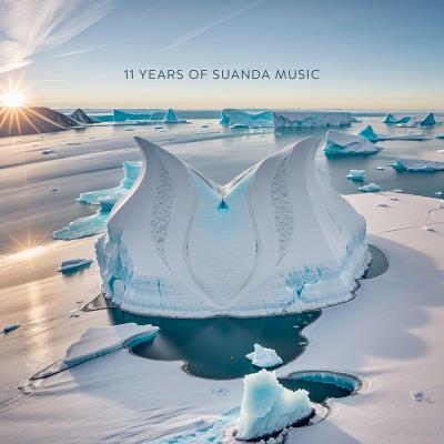 Va-Artists - 11 Years Of Suanda Music (2024) MP3