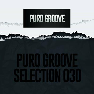 Va-Artists - Puro Groove Selection 030 (2024) MP3